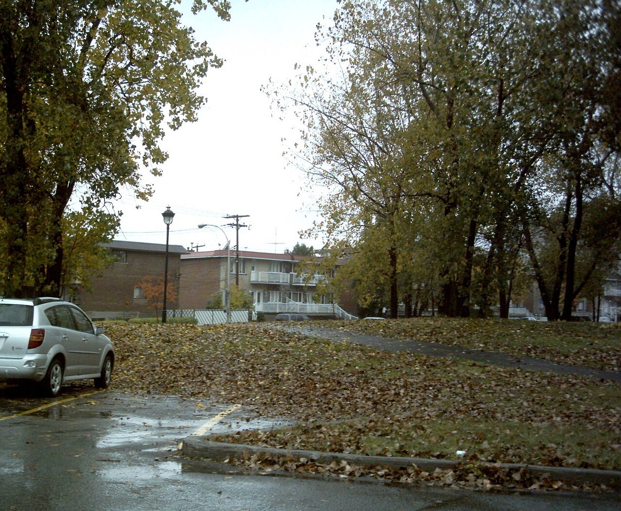 Rue résidentielle verdoyante typique d'Anjou, bordée de résidences