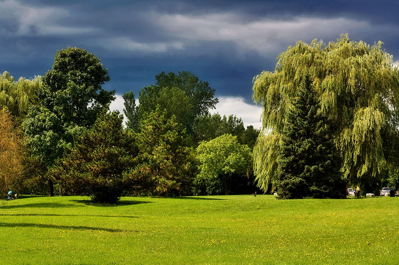Parc verdoyant aux arbres matures, typique de Beaconsfield