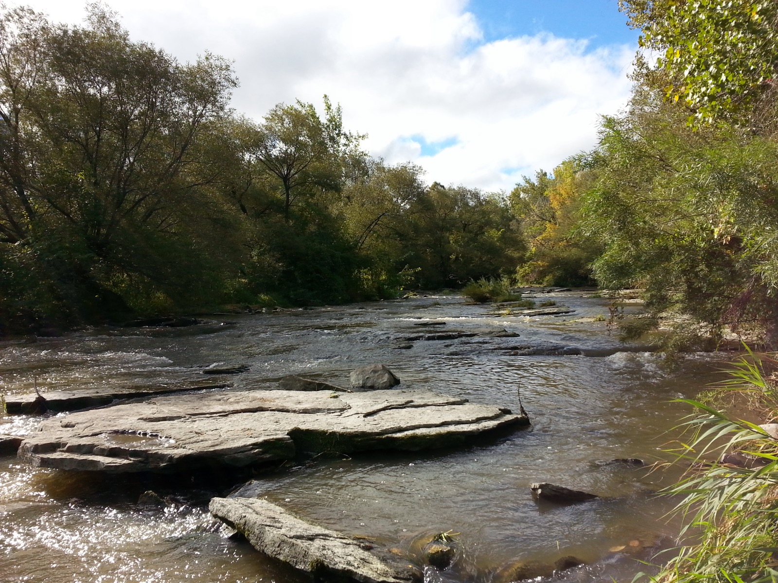 La rivière Saint-Louis et ses rapides entre les arbres, à Beauharnois