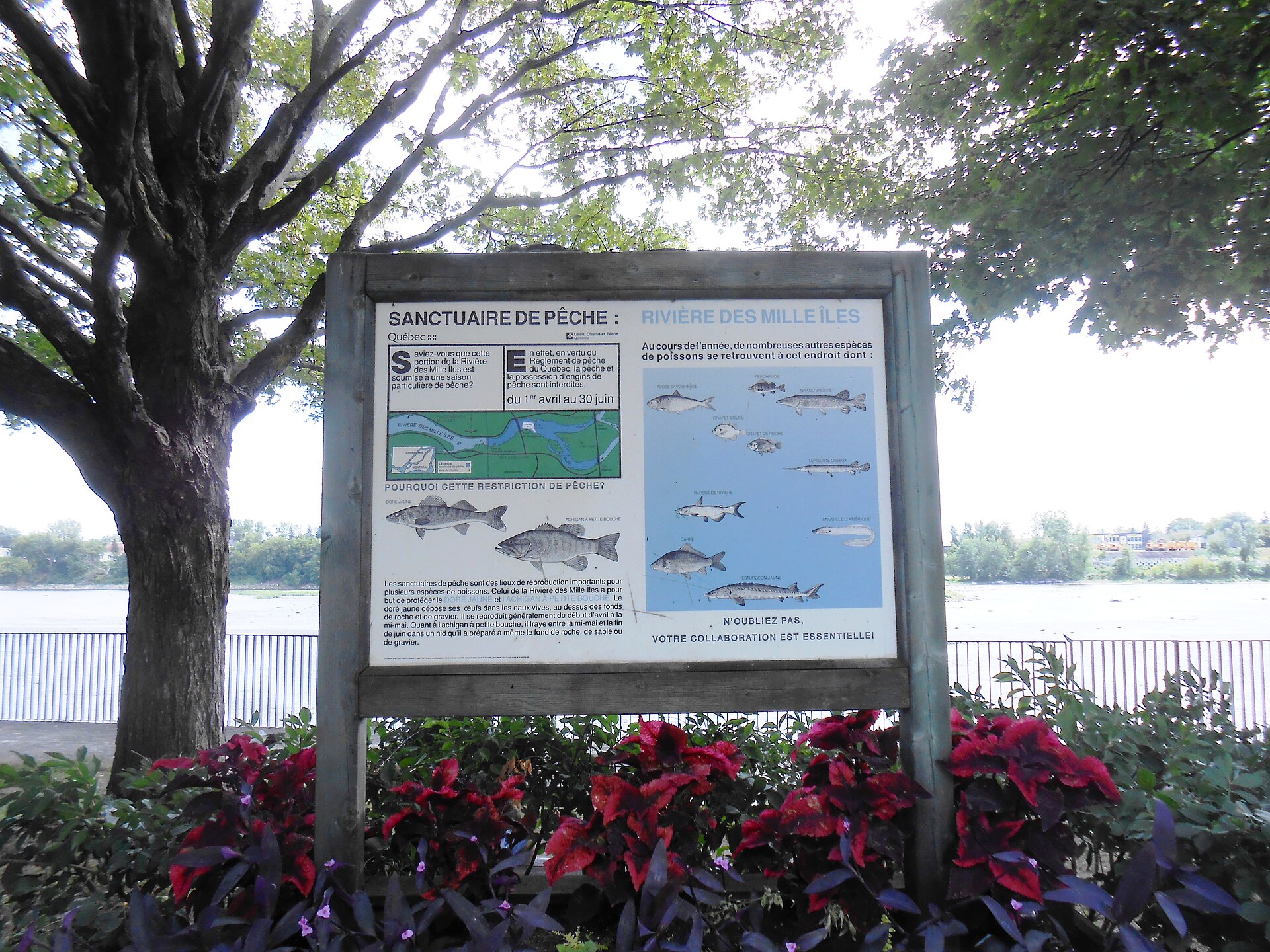 Panneau du sanctuaire de pêche de la rivière des Mille Îles au bord de l'eau