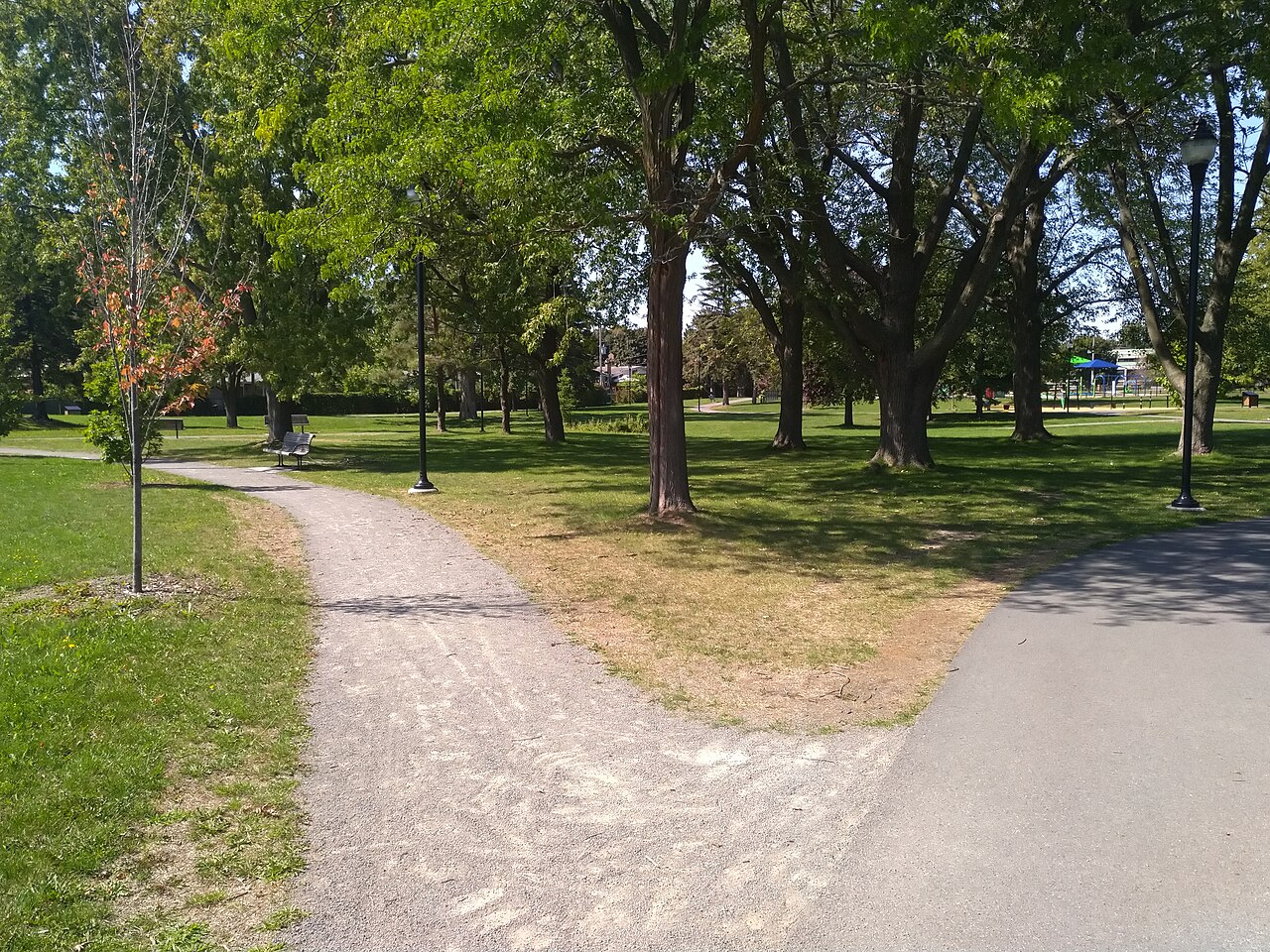Les sentiers verdoyants du parc Edward-J.-Kirwan