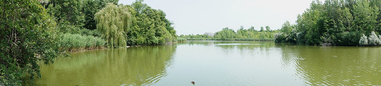 Le lac du parc du Centenaire (William Cosgrove) à Dollard-des-Ormeaux, en été
