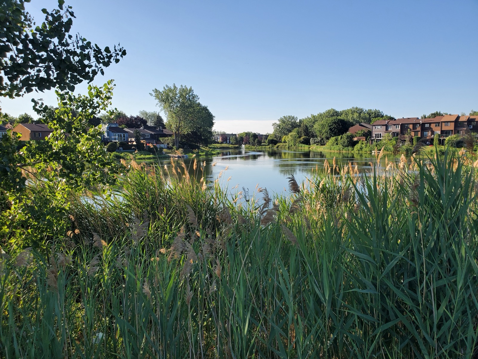 Lac urbain bordé de résidences et d'un parc naturel, au nord de La Prairie