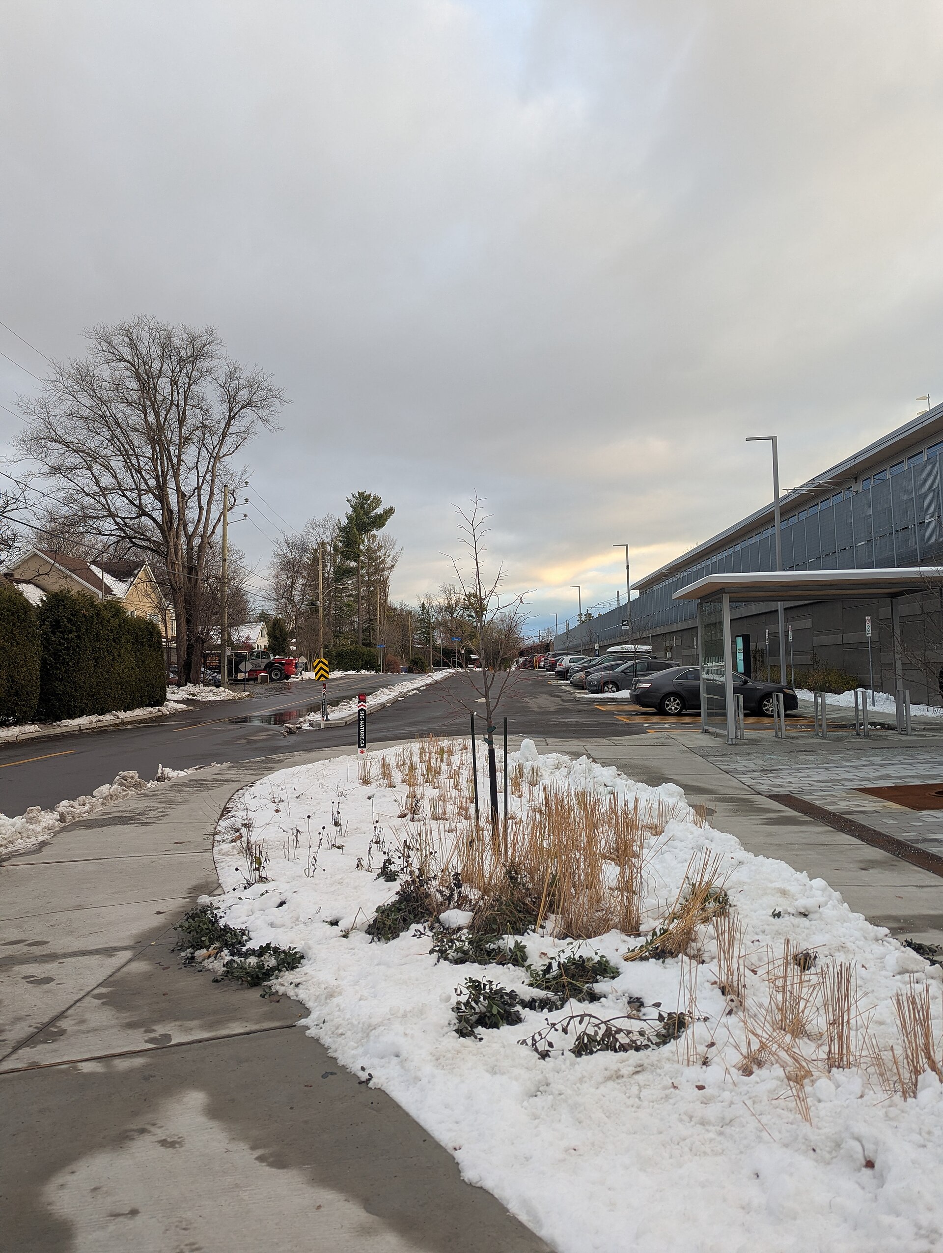 Une rue résidentielle de l'île Bigras, avec ses maisons et la structure du REM à droite