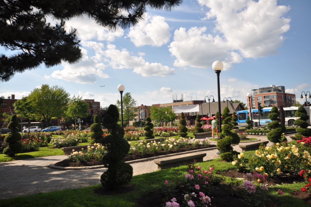 Roseraie et topiaires du parc Connaught, à Ville Mont-Royal