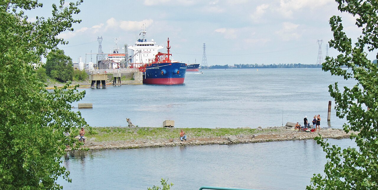 Pêcheurs et pique-nique sur la rive du Saint-Laurent à Montréal-Est, avec un navire au port