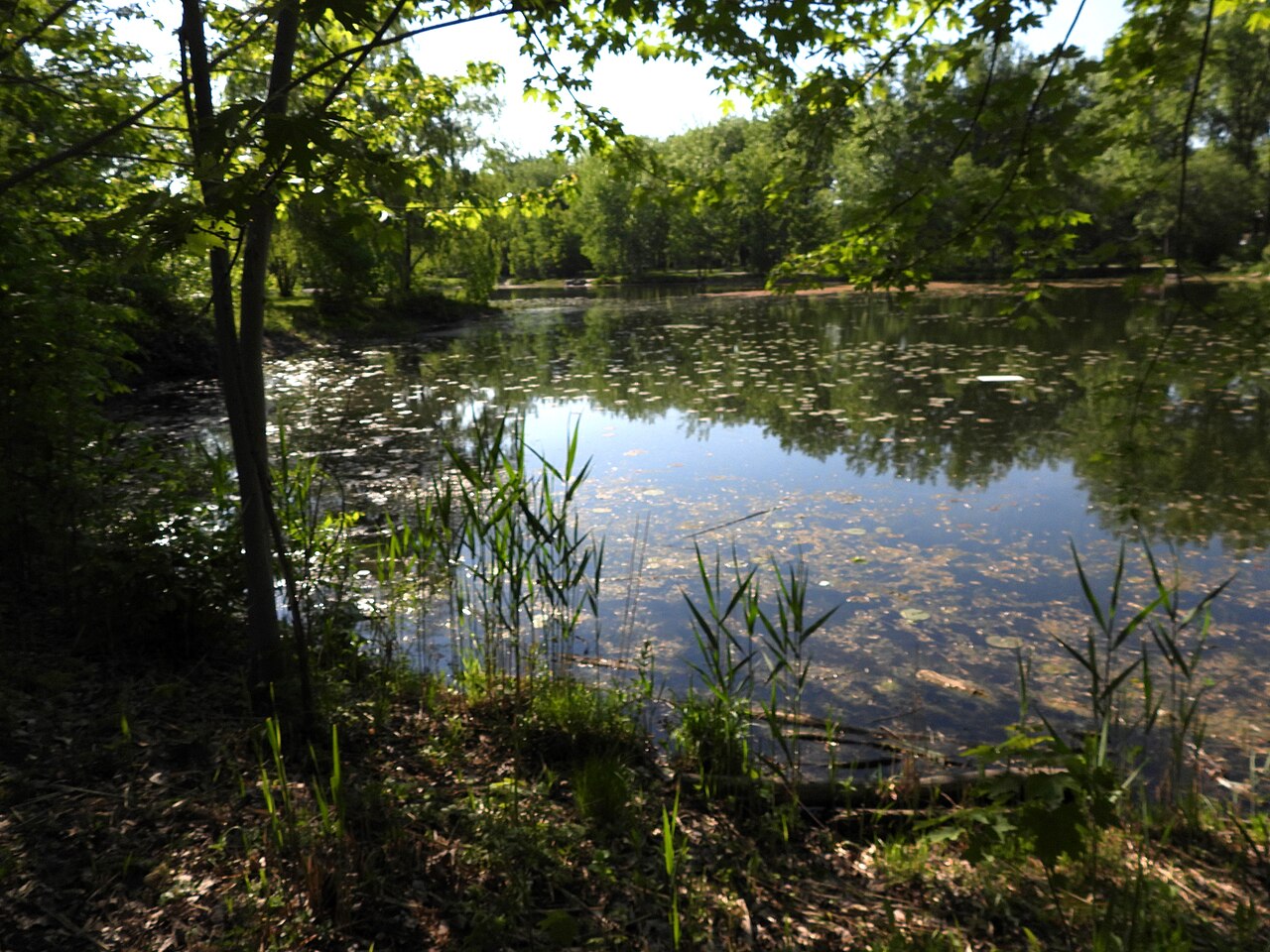 Le parc Angrignon et son lac